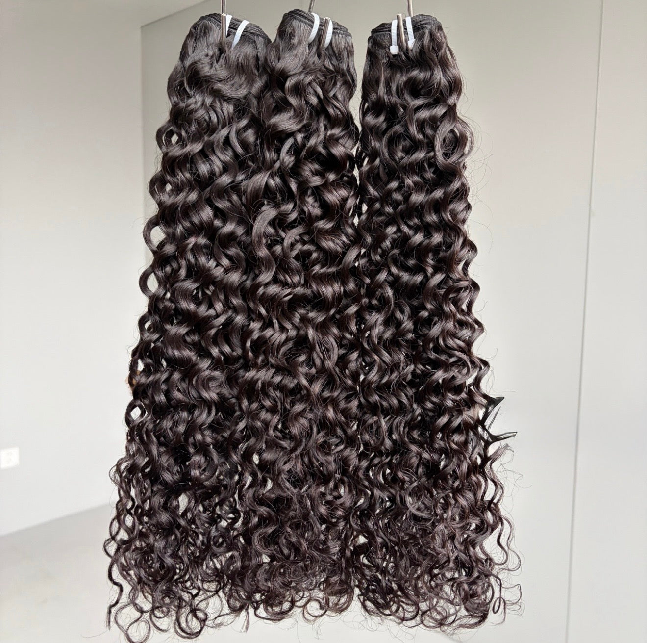 Burmese Virgin Bundle Deal