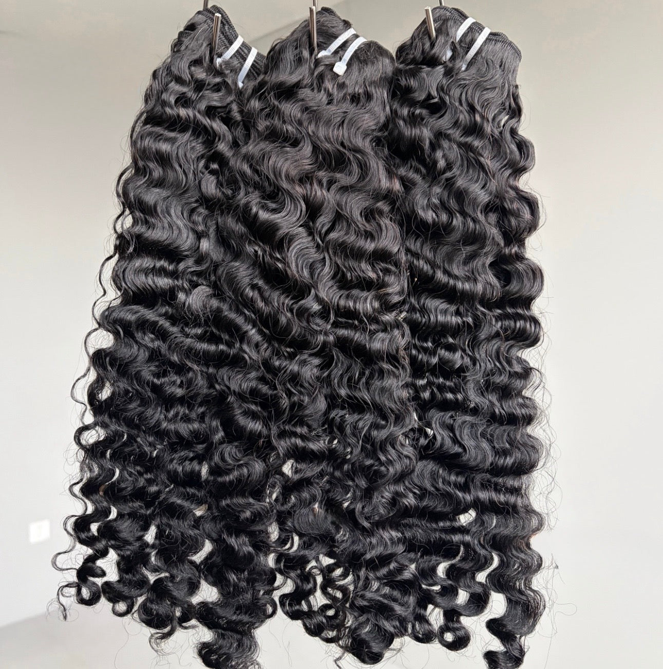 Burmese Virgin Bundle Deal