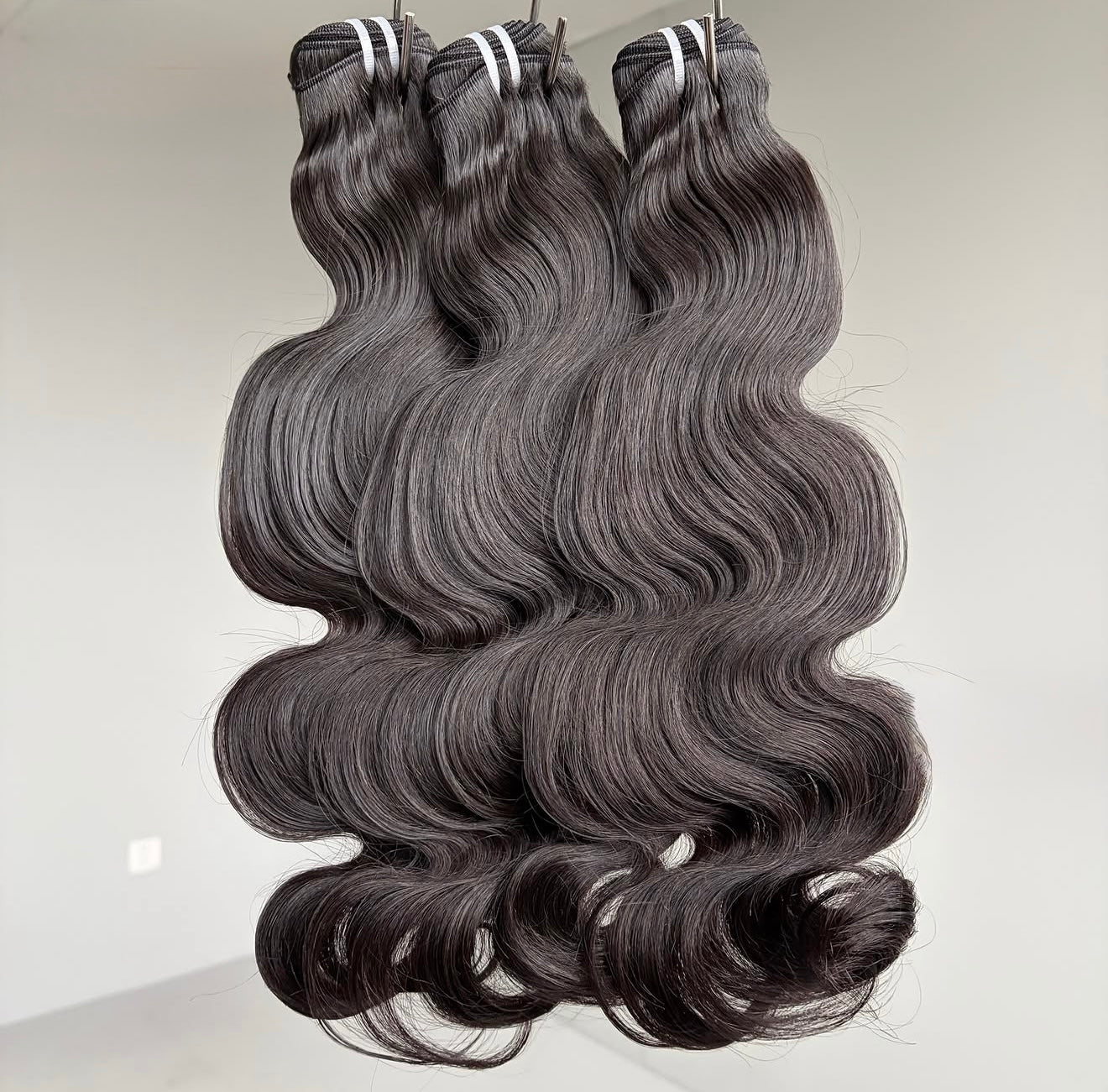 Burmese Virgin Bundle Deal