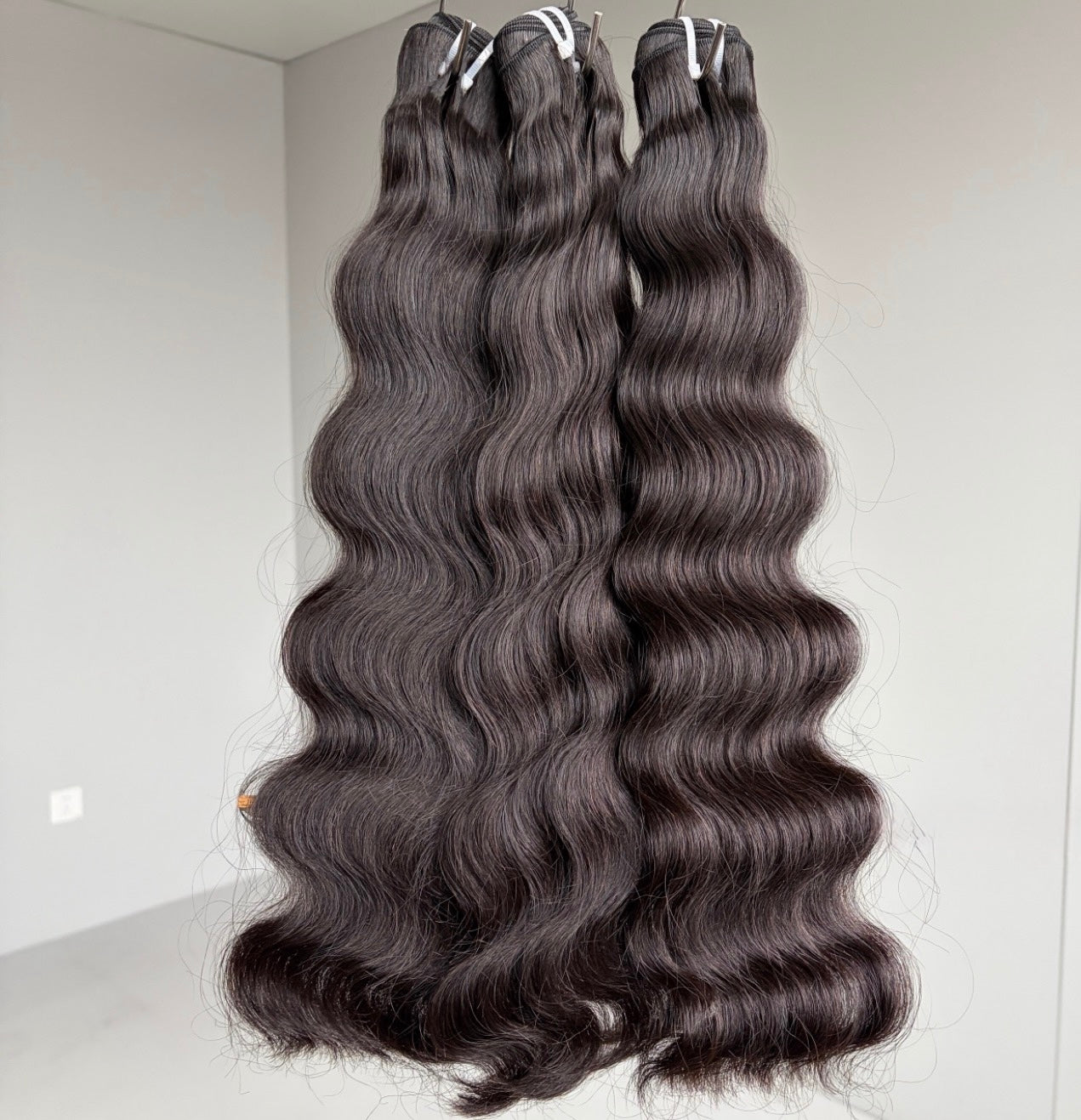 Burmese Virgin Bundle Deal